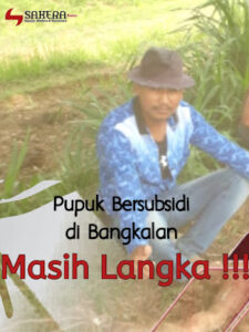 Duka Cita Petani di Kabupaten Bangkalan Karena Pupuk Bersubsidi Langka