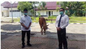Bank Jatim Serahkan Hewan Qurban Untuk Pemkab Bangkalan